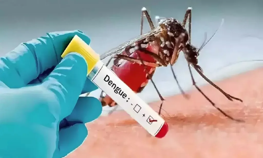 dengue