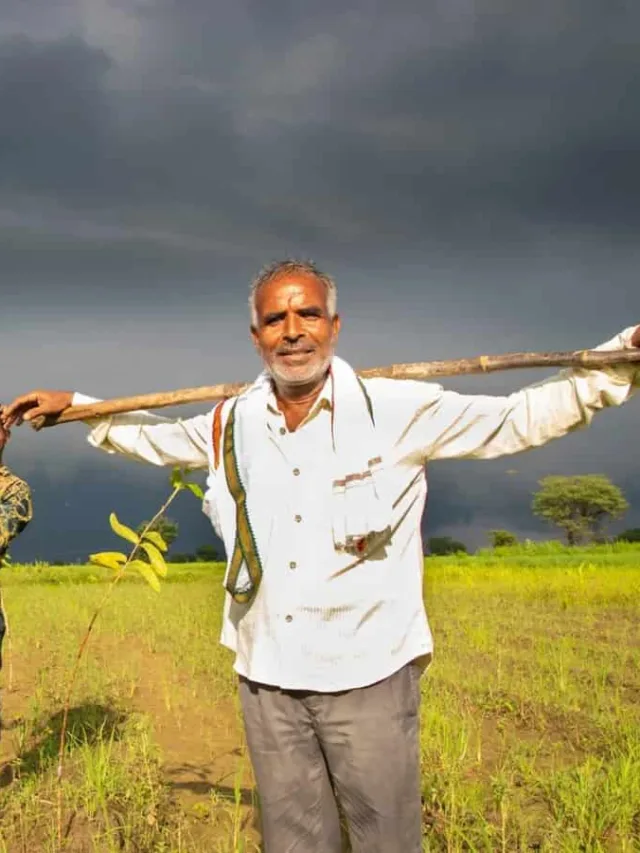 Benefits Of Timid Rain In Winters: सर्दियों में बारिश होने से किसानो को काफी फायदा होता है