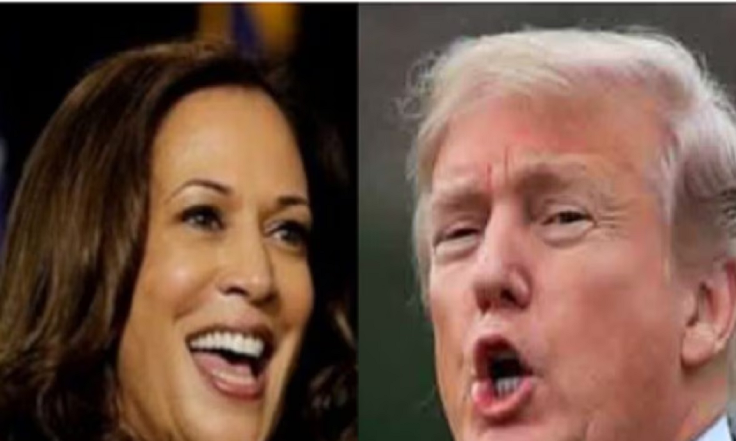 US Elections 2024: कमला हैरिस शासन करने योग्य नहीं : डोनाल्ड ट्रम्प