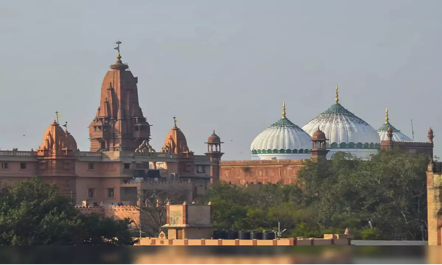 Mathura Controversy: हिंदू पक्ष की याचिकाओं पर HC में हो सकेगी सुनवाई, मुस्लिम पक्ष की अर्जी खारिज