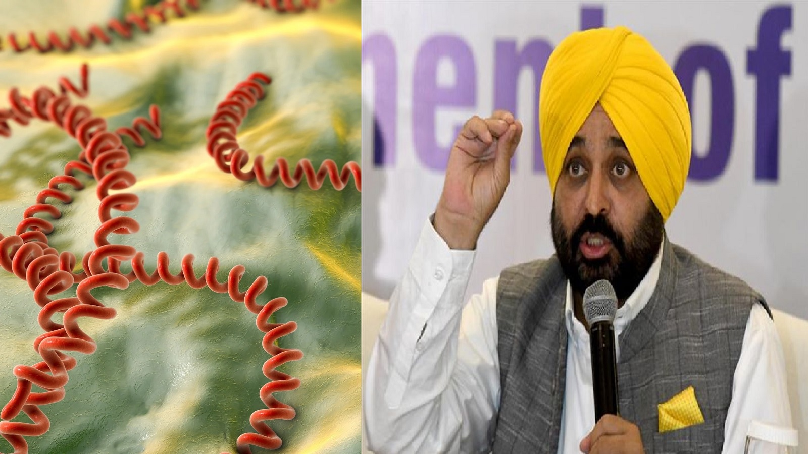 Punjab CM Bhagwant Mann Leptospirosis | पंजाब के सीएम भगवंत मान एक जानलेवा इन्फेक्शन से हुए संक्रमित; रिपोर्ट में है इन्फेक्शन का पूरा ब्यौरा