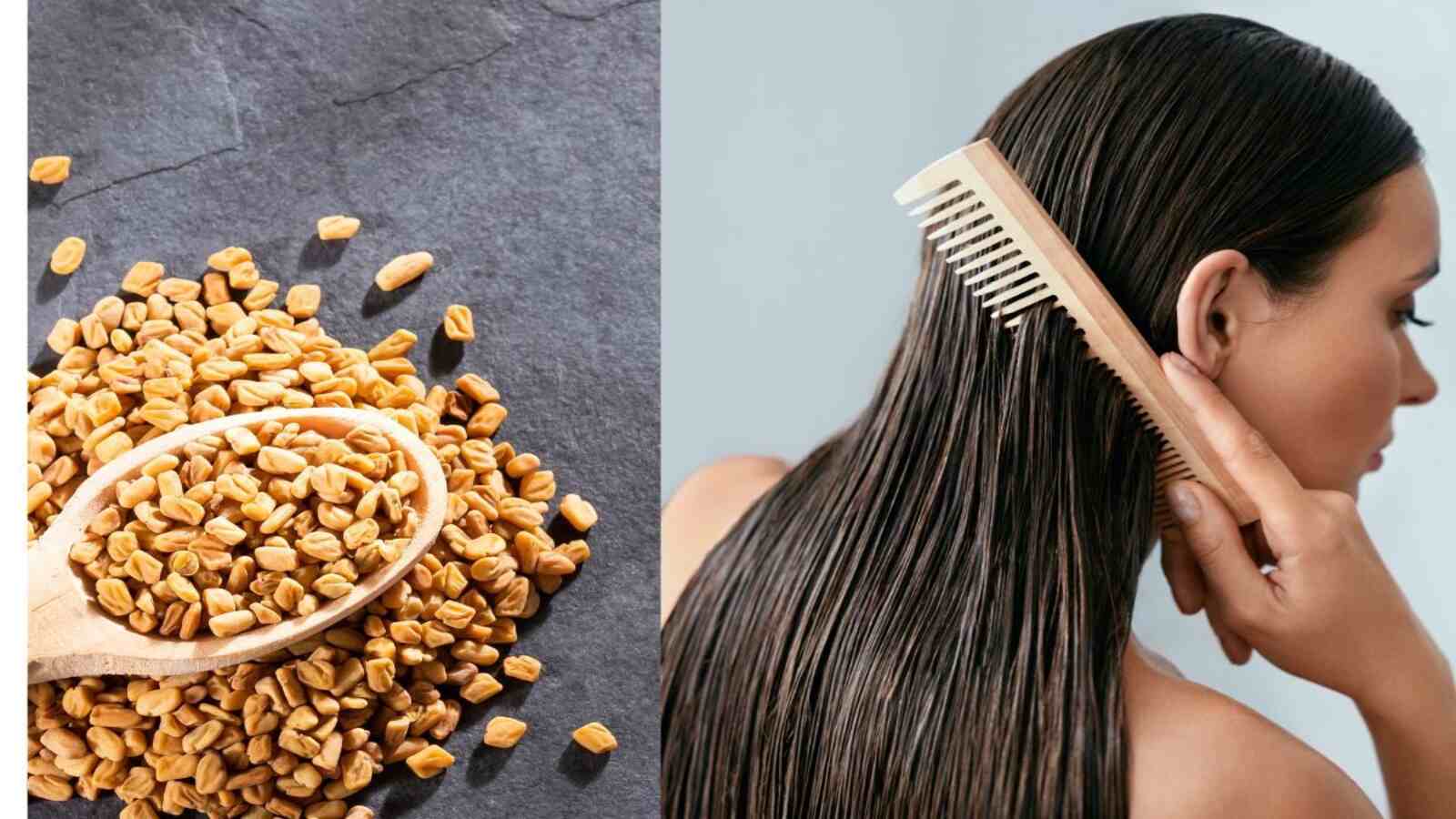 Methi Dana Benefits For Hair : लंबे, काले, घने बाल चाहिए तो आज ही से लगाएं मेथी हेयर मास्क