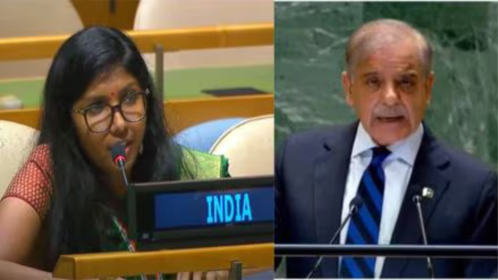 India reprimanded Pakistan : यूएन में भारत ने पाकिस्तान को लगाई जबरदस्त फटकार।