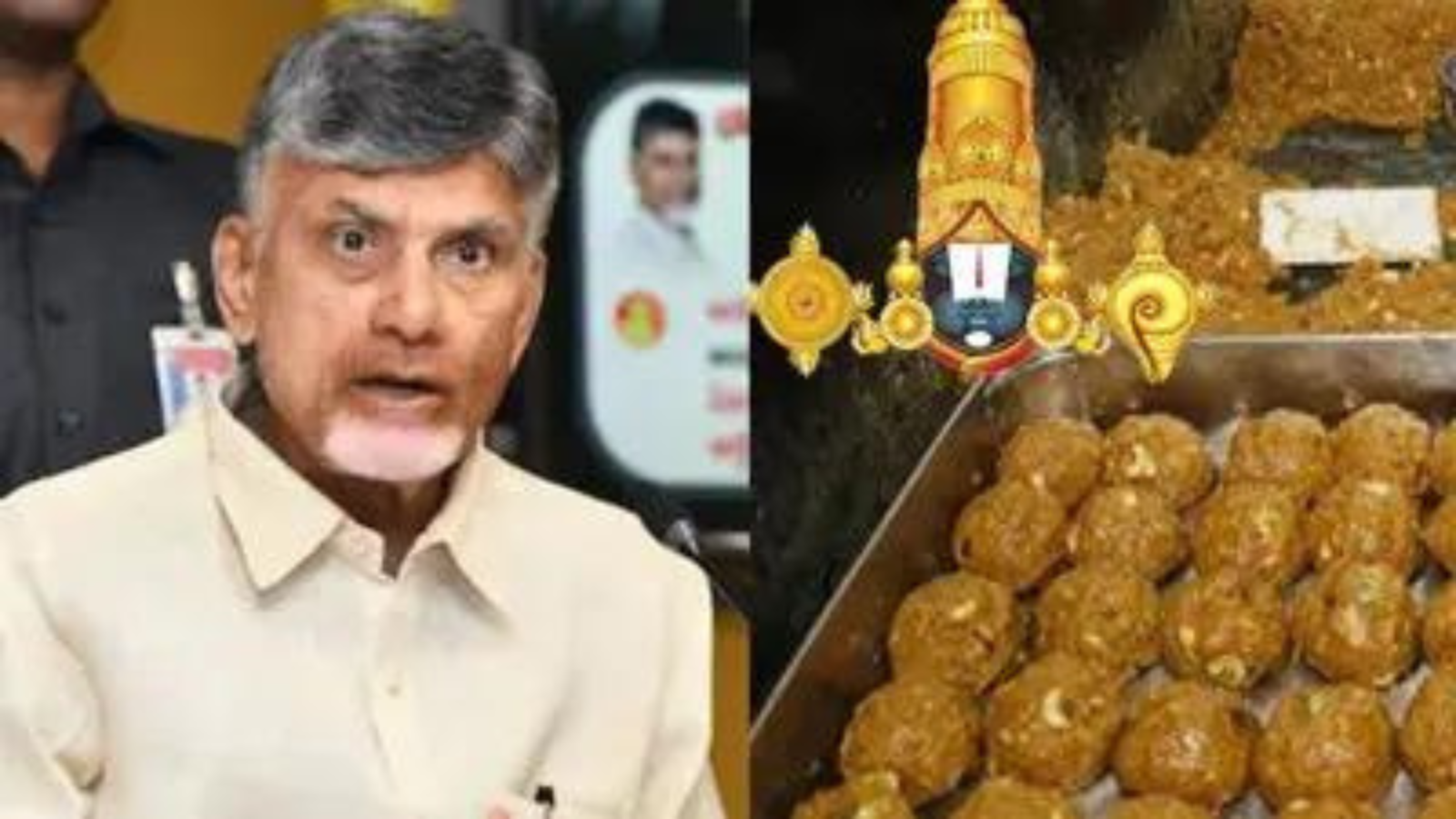 Tirupati Balaji prasad controversy : तिरुपति लड्डू विवाद पर सुप्रीम कोर्ट ने मुख्यमंत्री नायडू को फटकारा, कहां ईश्वर पर राजनिति मत करो।