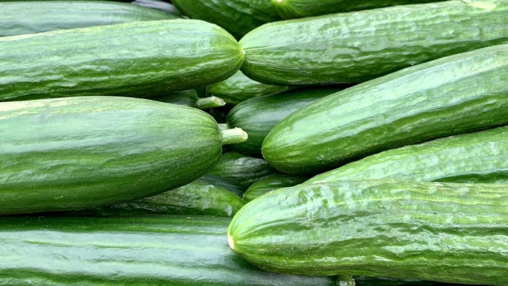 Health Benefits of Cucumber