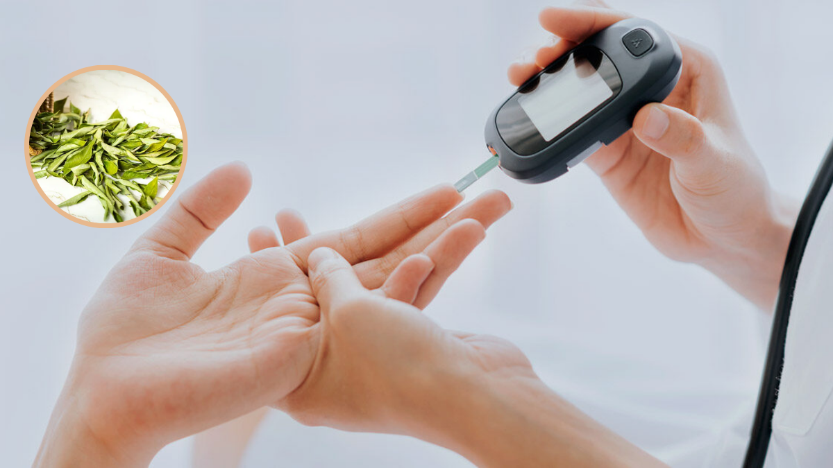Diabetes को कहें अलविदा? ये पत्ता करेंगे मदद, जाने इसके फायदे और ऐसे करें इस्तेमाल!