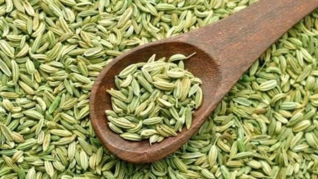 Disadvantages of Having Fennel Seeds