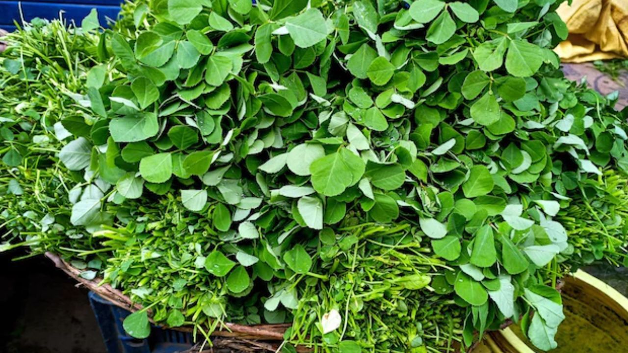 Health tips : हरी पत्तेदार सब्जियां भी हो सकती हैं नुकसानदायक