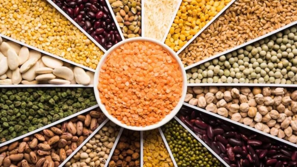 Protein Rich Pulses