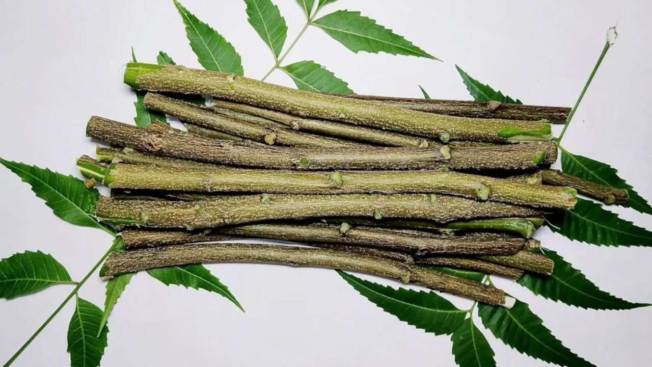 Teeth care home remedy: ऐसे बनाए दांतों को मजबूत और कैविटी मुक्त