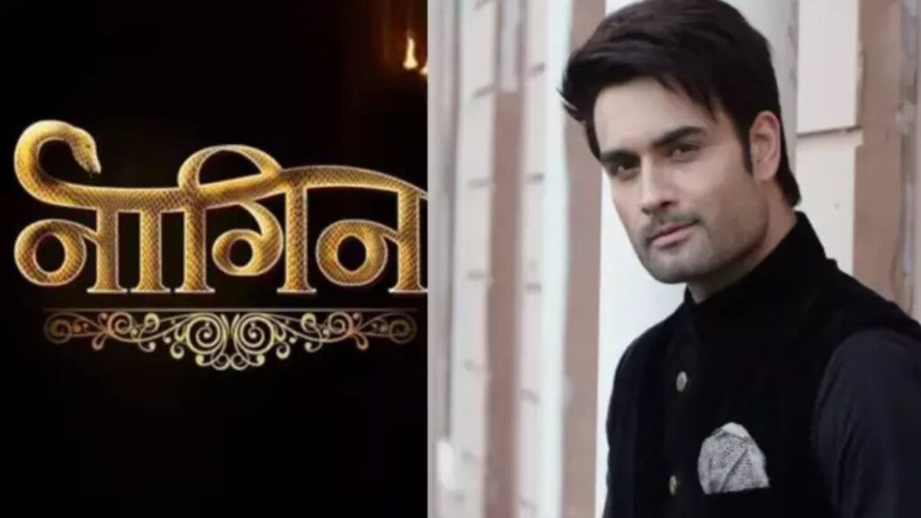 Vivian Dsena Naag Look 