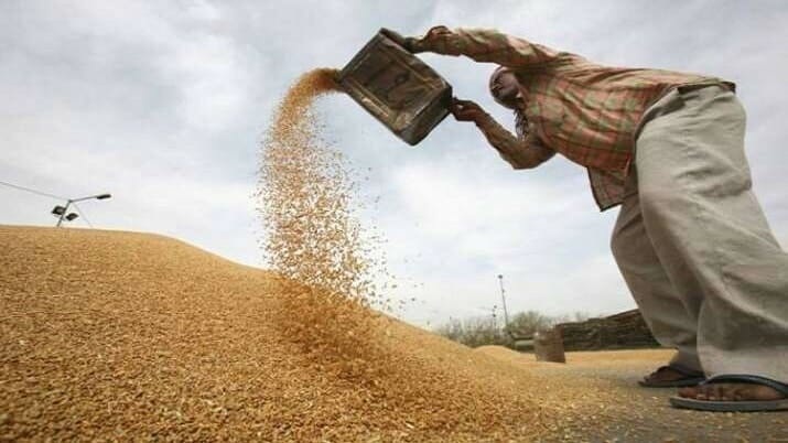 Registration for purchasing wheat at support price