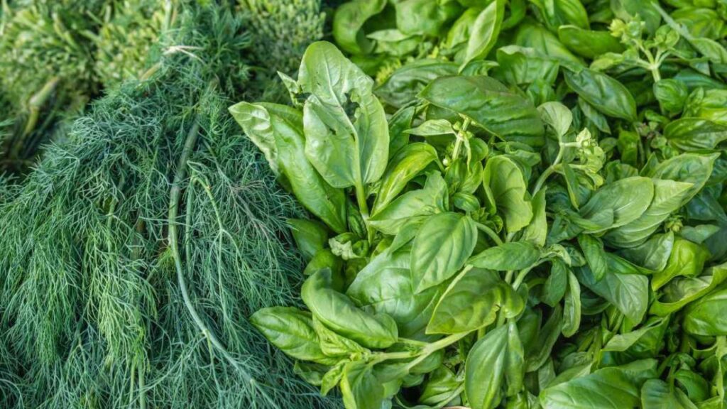 B12 vegetarian sources