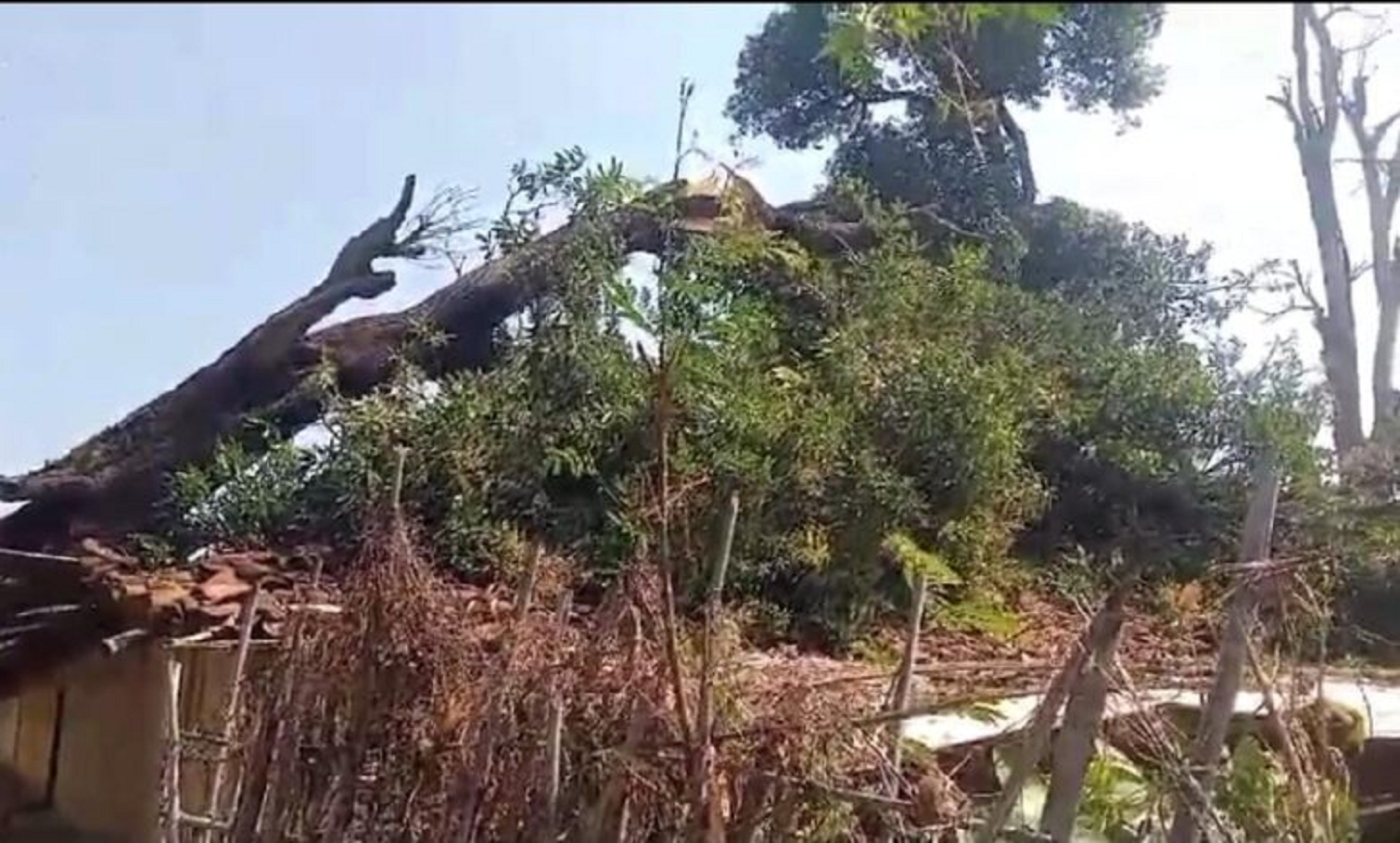 एमपी के शहडोल, मैहर और सतना में गिरे ओले, विंध्य में 40 से 50 किमी रफ्तार में चल सकती है हवाऐ