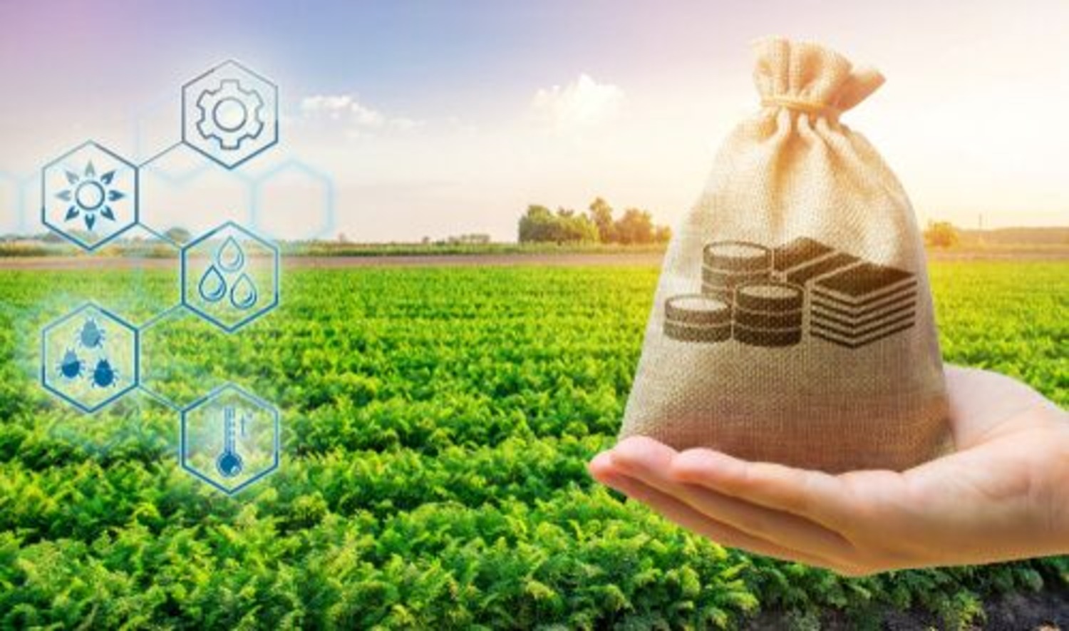 Top Agriculture Business Idea’s: कम बजट में ये कृषि वाले धंधे कर लिए तो होंगे मालामाल