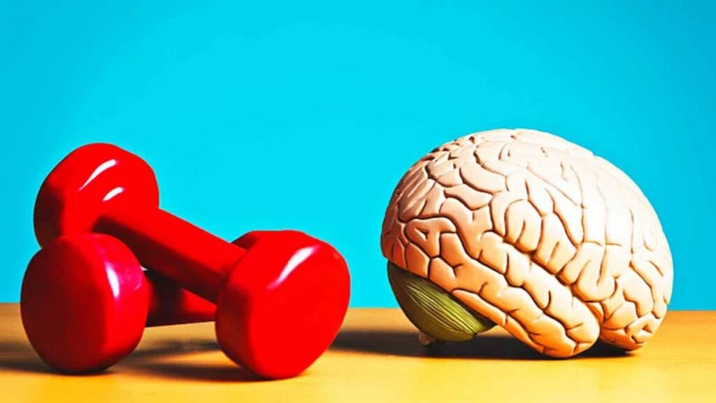 Brain Exercise