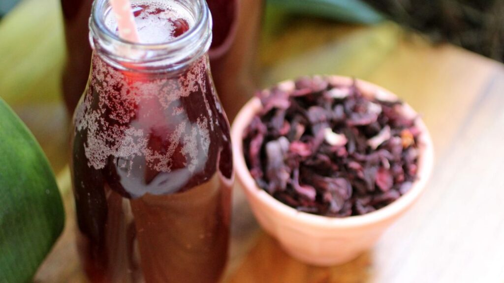 Homemade Probiotic Drink 