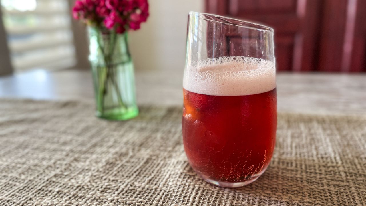 Homemade Probiotic Drink: केवल स्वाद नहीं बल्कि सेहत का भी खजाना