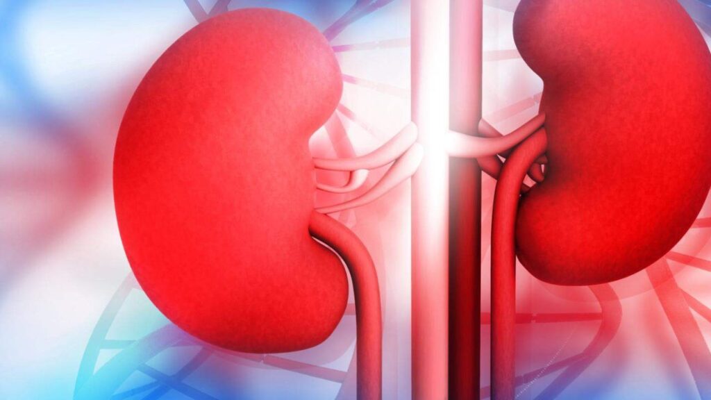 Kidney Failure Early Signs