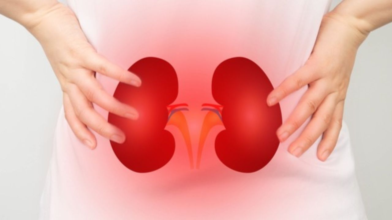 Kidney Failure Early Signs