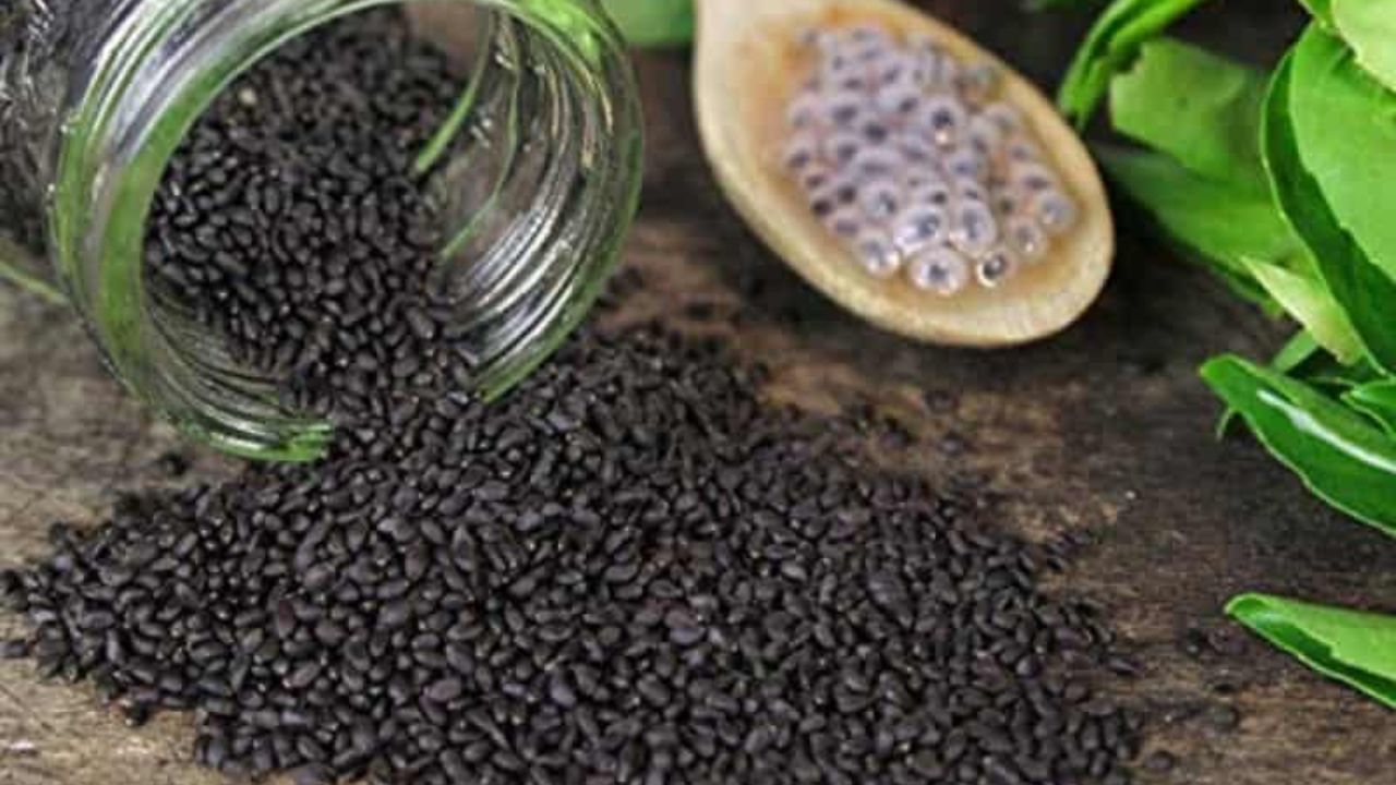 Sabza Seed Benefits: सब्ज़ा सीड के अद्भुत स्वास्थ्य लाभ