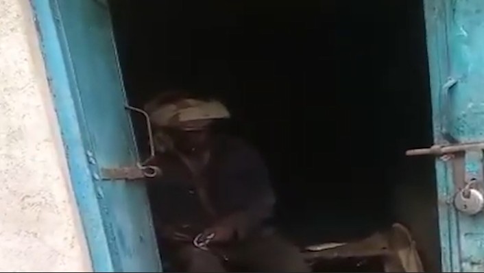 Bears attack old man who went to pick Mahua in Rewa