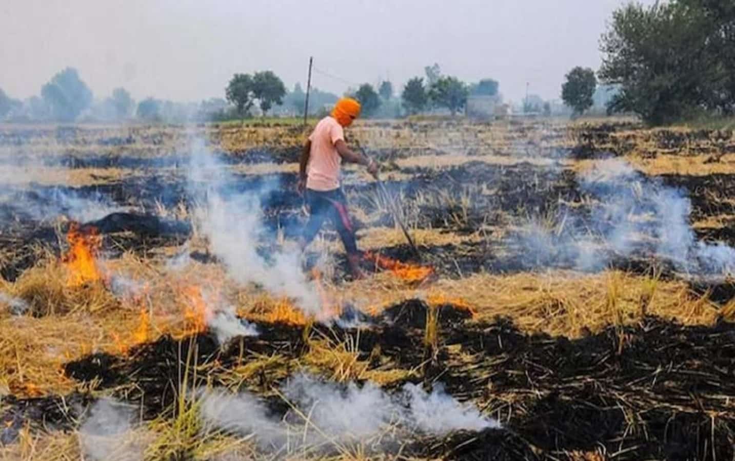 MP Mei Nirwai Jalane Ko Lekar Niyam