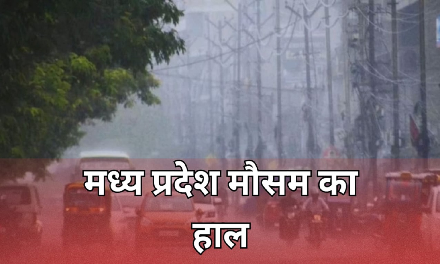 मध्य प्रदेश का मौसम: IMD के आधार पर जानें अपने जिले का हाल