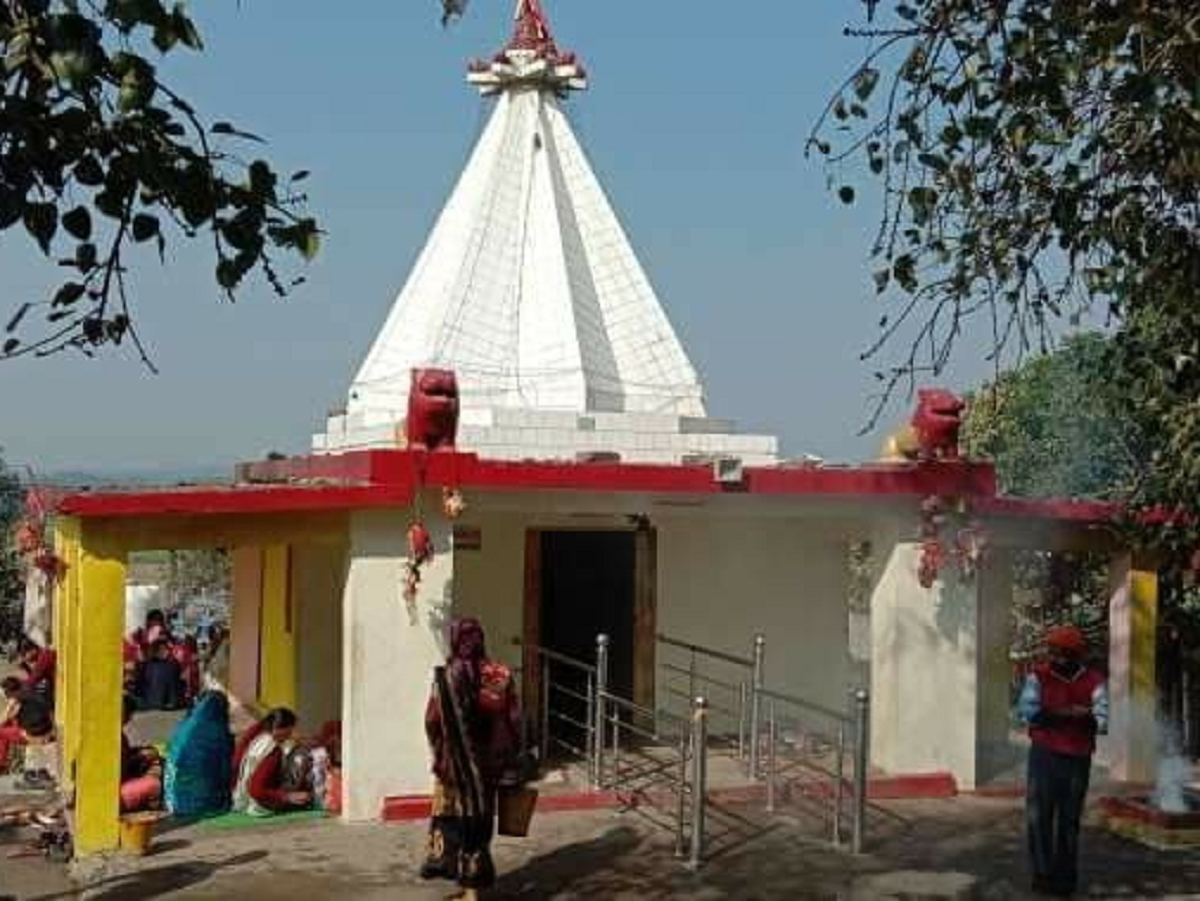 इस मंदिर में मत्रों से अचेत होता है बकरा, बिना हिंसा के बलि की सैकड़ों भक्त होते है साक्षी, बीरबल ने पाई थी सिद्धि