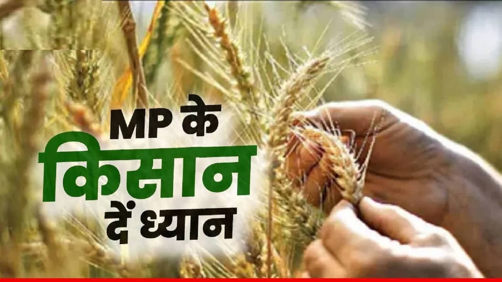 MP Gehu Uparjan 2025 Registration Last Date