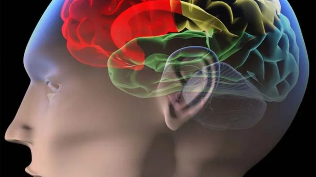 How To Make Brain Active and Sharp