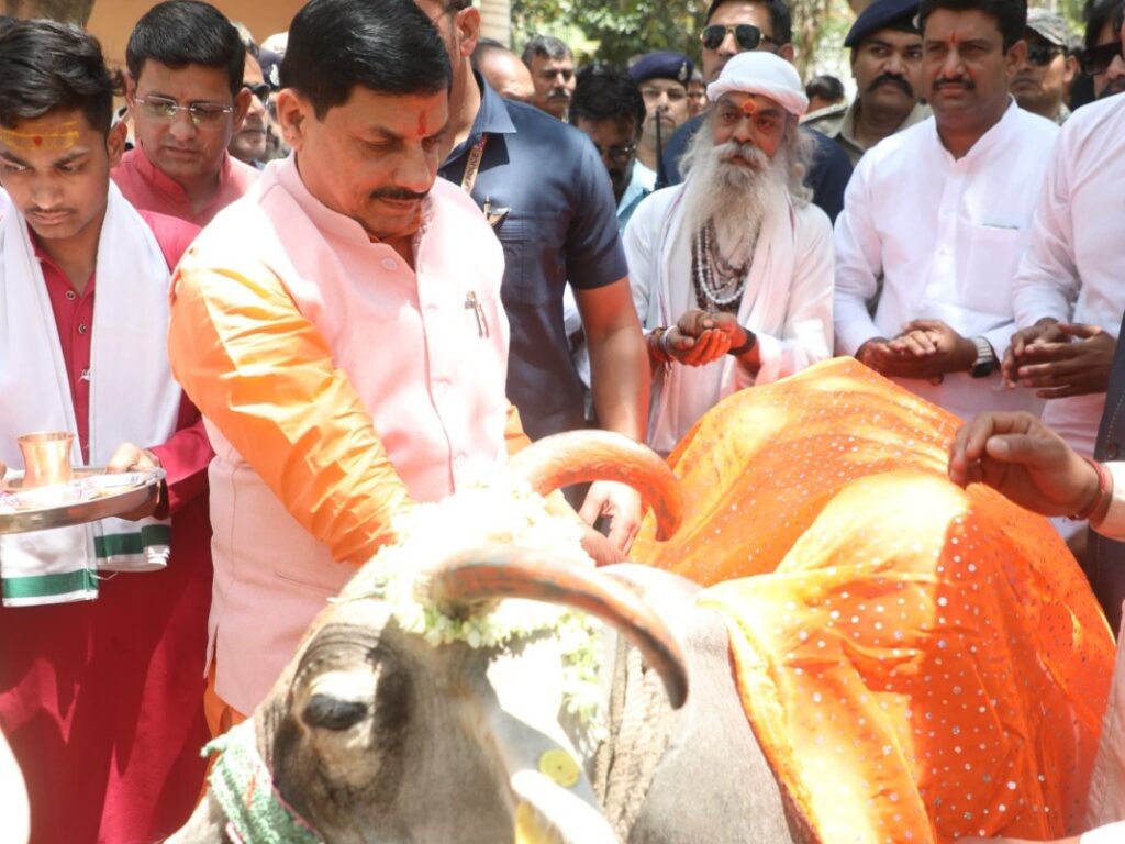 subsidy on cattle