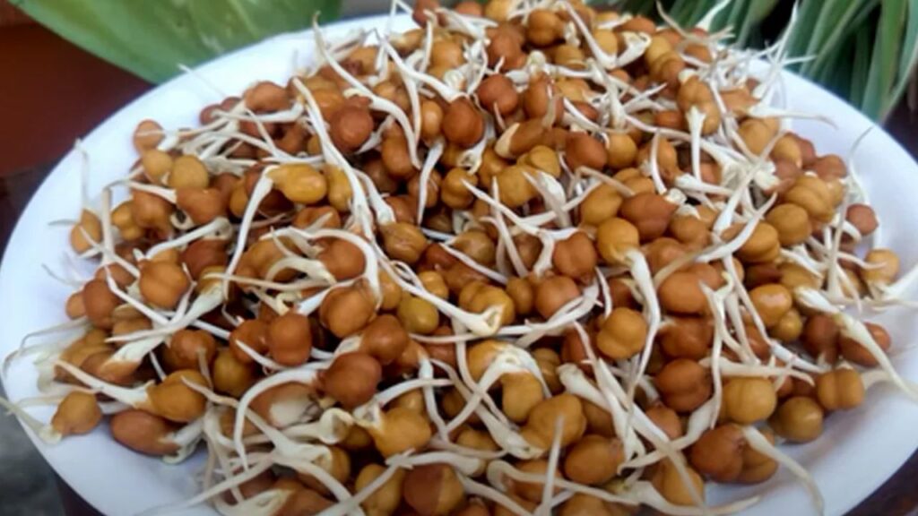 Sprouted Black Chana Khane Ke Fayde