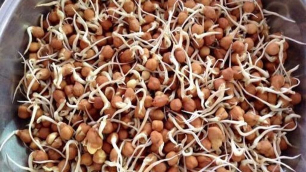 Sprouted Black Chana Khane Ke Fayde