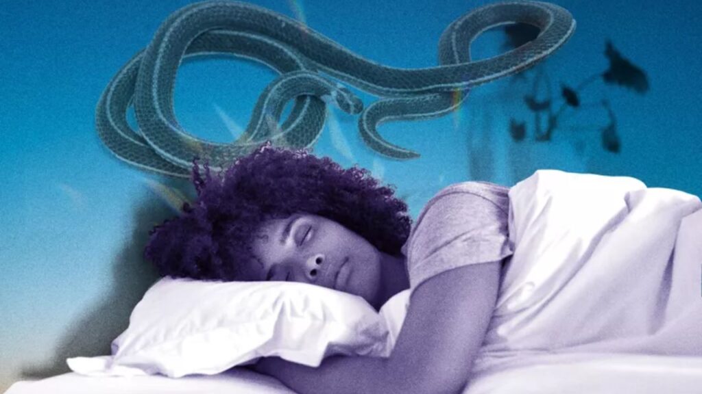 Watching Snake in Dreams