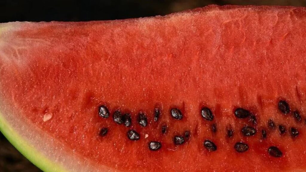 Watermelon Seeds Benefits