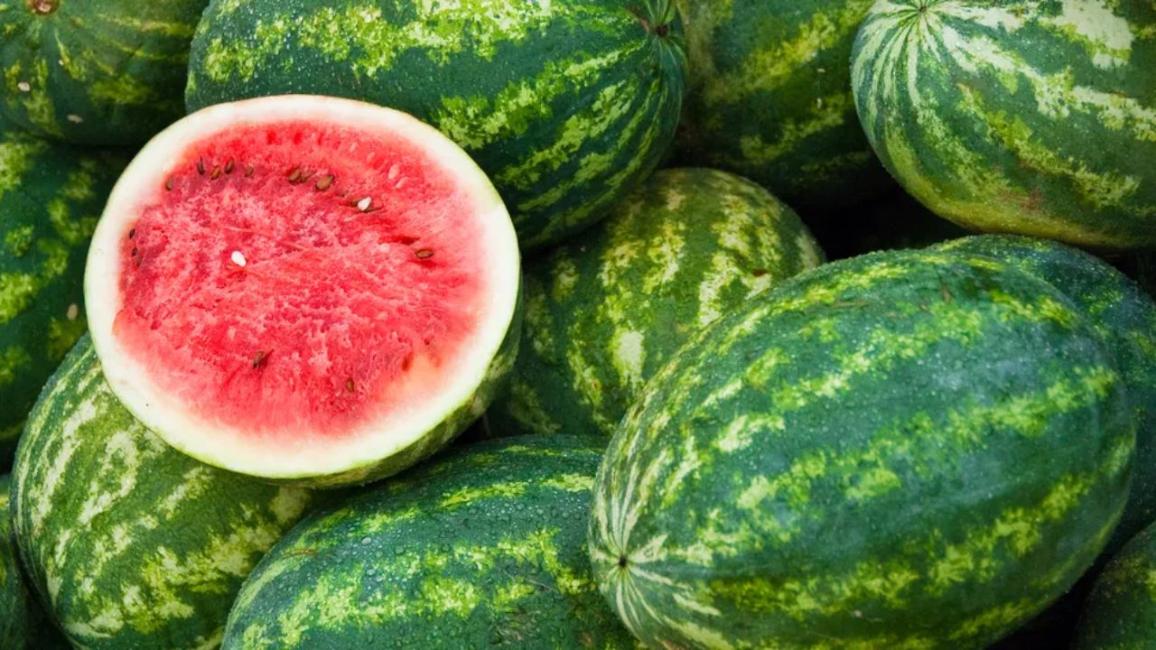 Watermelon Seeds Benefits