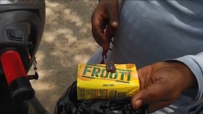 Insects found in Fruity pouches in Rewa