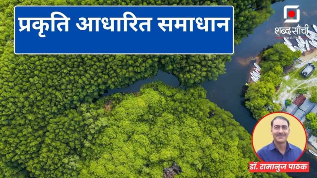 Nature Based Solutions Kya Hote Hain