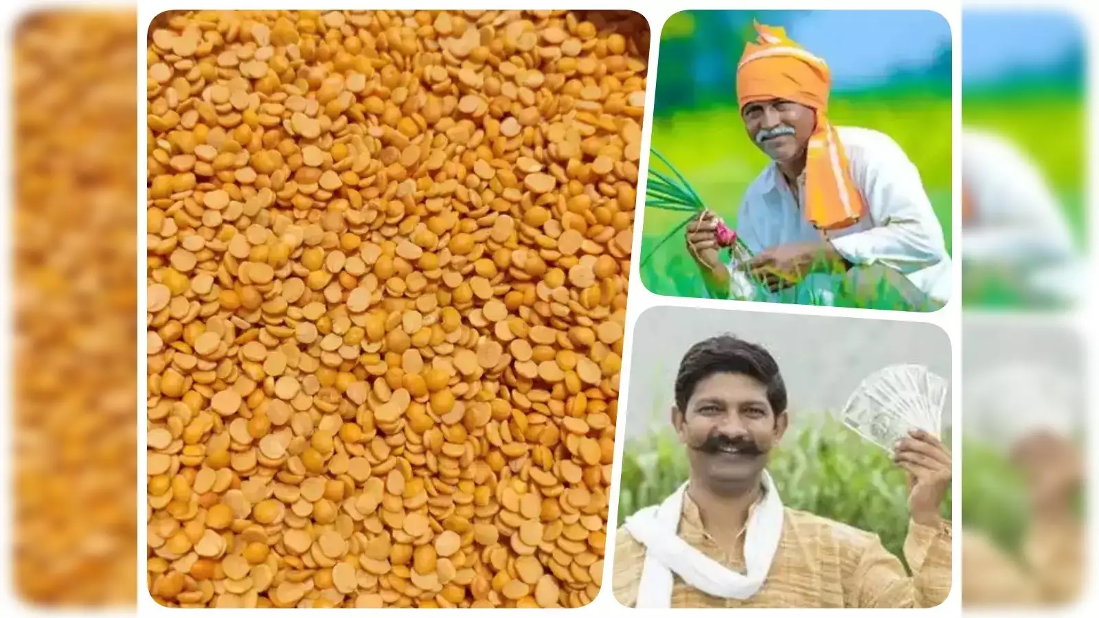 Tur Daal Uparjan 2025