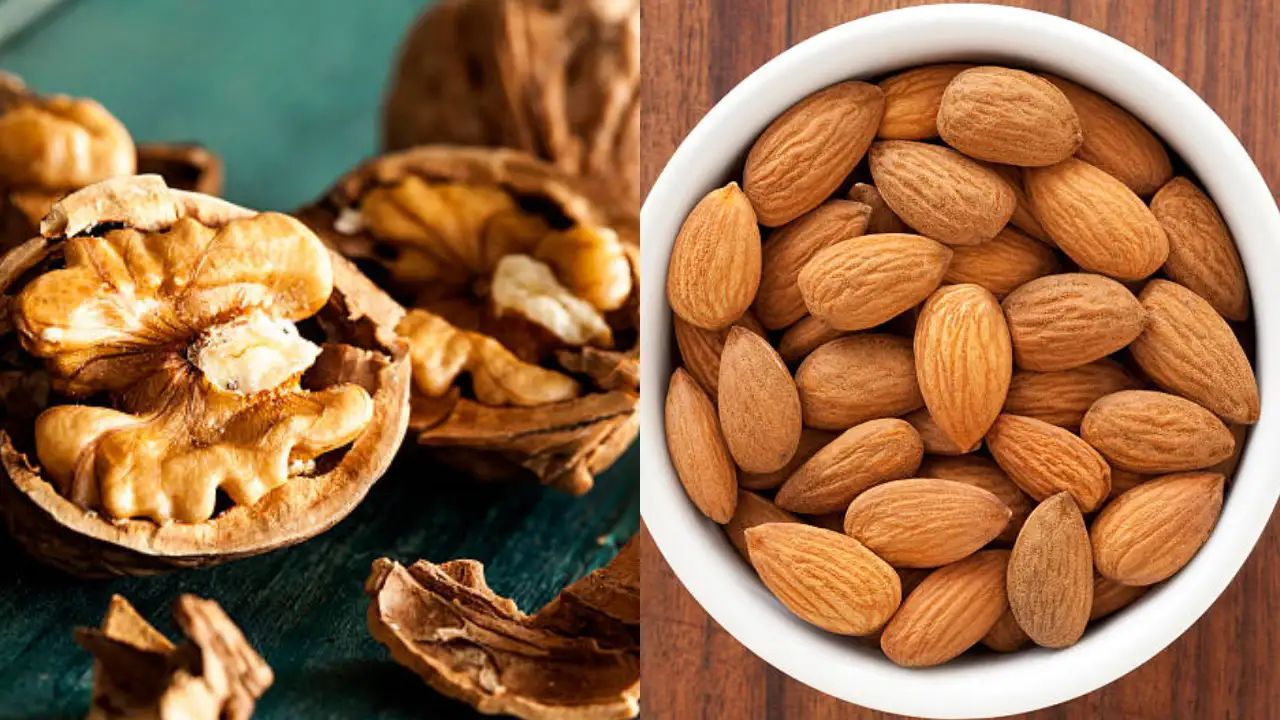 Almond and Walnut For Skin and Hair: बालों को बनाना चाहते हैं लंबा और घना तो रोज खाएं यह दो ड्राई फ्रूट
