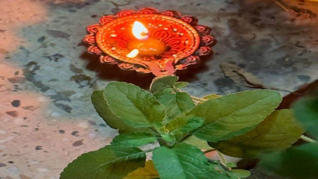 Ashadha Amavasya 2025 Muhurat Puja Vidhi