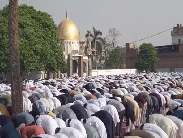 Eid-ul-Azha festival celebrated peacefully in Rewa