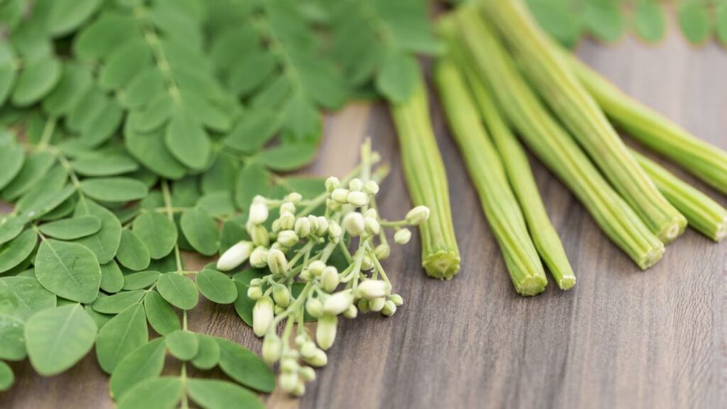 Moringa Leaves Benefits
