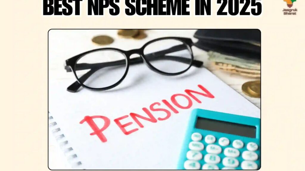 NPS investment 2025