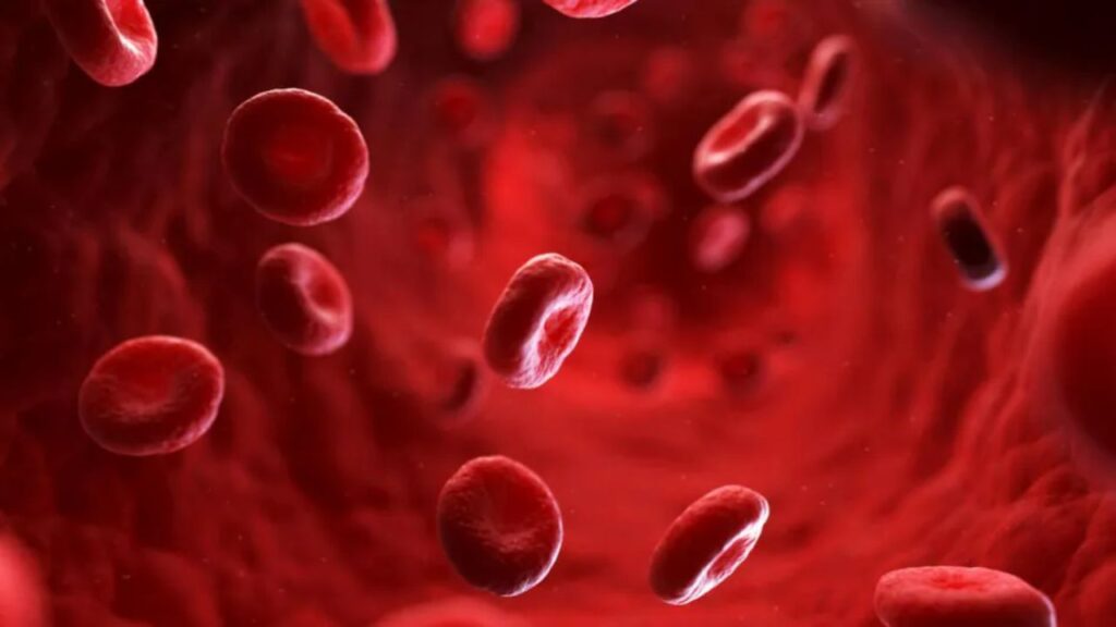 Platelets Count Kaise Badhaye