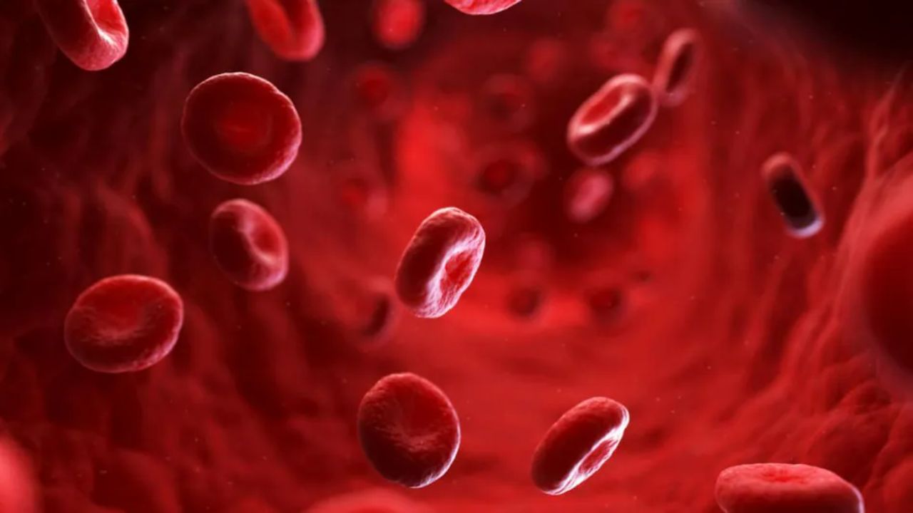 Platelets Count Kaise Badhaye: कम हो गया है प्लेटलेट काउंट तो करें इन पोषक पदार्थ का सेवन