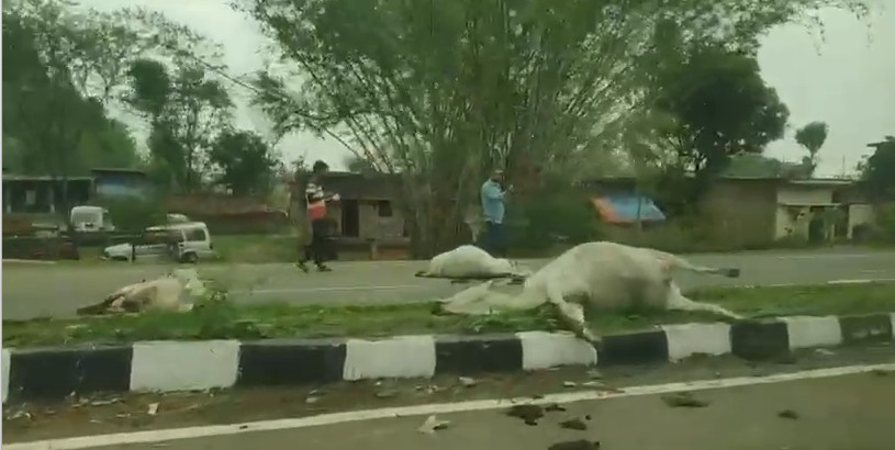 Rewa-Prayagraj highway