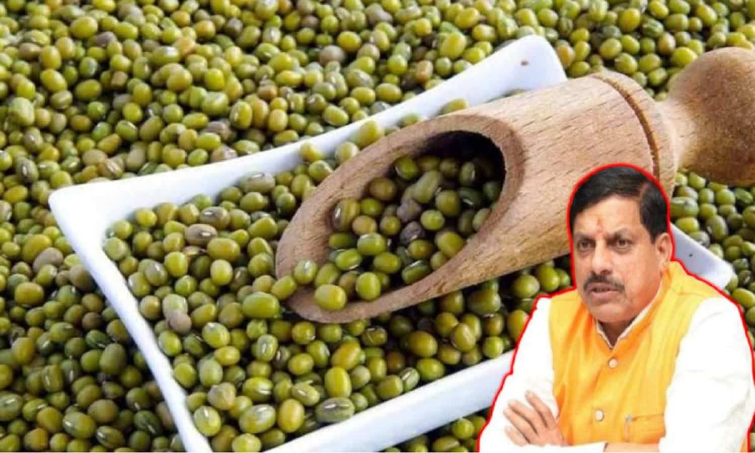 MP: 19 जून से मूंग और उड़द की सरकारी खरीदी के लिए पंजीयन शुरू, मिलेगा MSP का लाभ