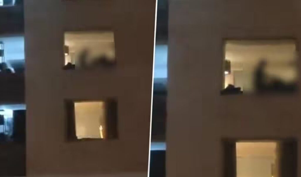 Jaipur Hotel Couple Viral Video